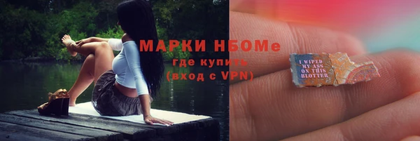 PSILOCYBIN Алзамай