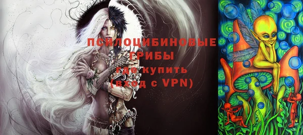 PSILOCYBIN Алзамай