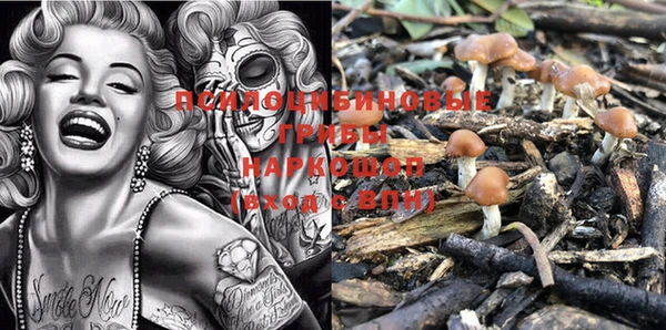 PSILOCYBIN Алзамай