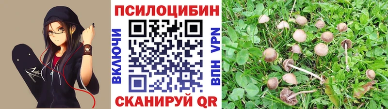 купить наркотики цена  Югорск  Галлюциногенные грибы Psilocybe 